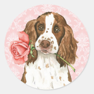 Valentine Rose English Springer Runder Aufkleber