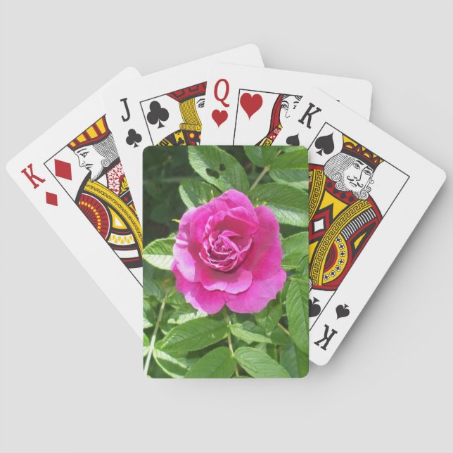 Valentine Rose Fahrradkarten Spielkarten (Rückseite)
