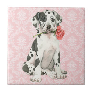 Valentine Rose Great Dane Fliese