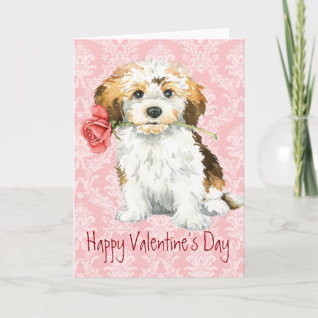 Valentine Rose Havanese Feiertagskarte (Vorderseite)
