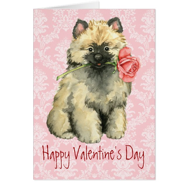 Valentine Rose Keeshond (Vorne)
