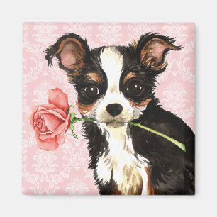 Valentine Rose Long Coat Chihuahua Magnet