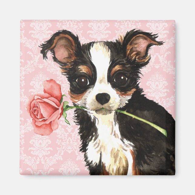 Valentine Rose Long Coat Chihuahua Magnet (Vorne)
