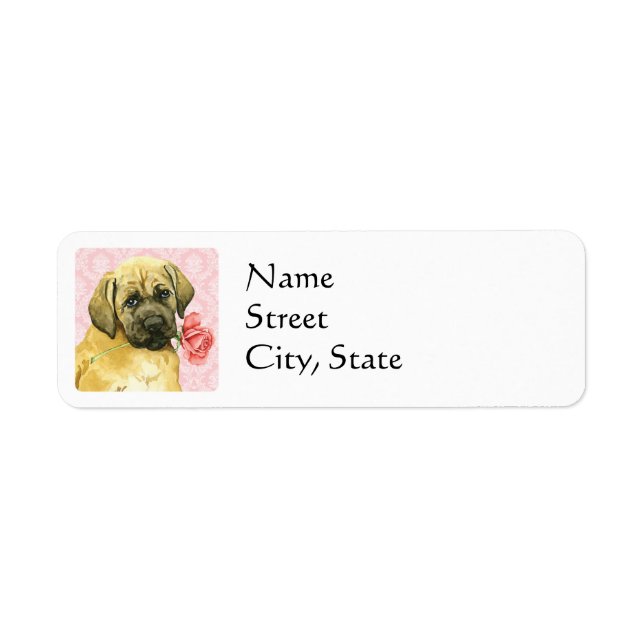 Valentine Rose Mastiff (Vorne)