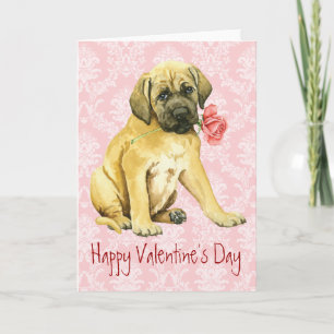 Valentine Rose Mastiff Feiertagskarte