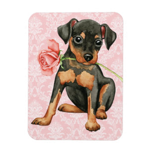 Valentine Rose Min Button Magnet