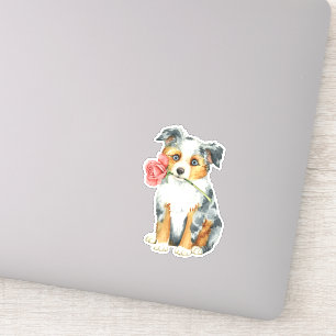 Valentine Rose Miniaturamerikanischer Schäferhund  Aufkleber