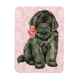 Valentine Rose Neufundland Magnet