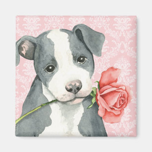 Valentine Rose Pit Bull Magnet