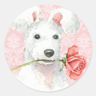 Valentine Rose Pumi Klassischer Rundsticker Runder Aufkleber