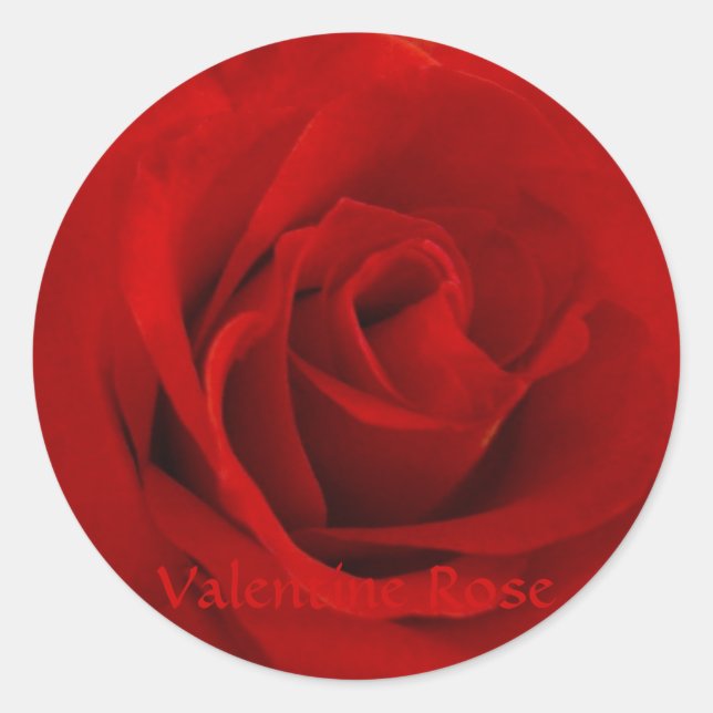 Valentine Rose Runder Aufkleber (Vorderseite)