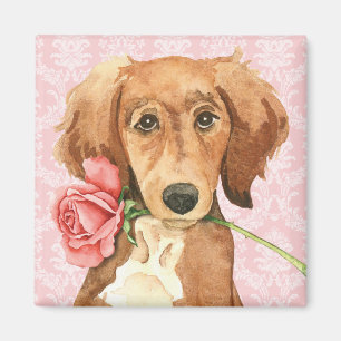Valentine-Rose Saluki Magnet