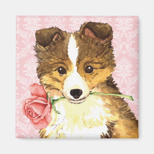 Valentine Rose Sheltie Magnet (Vorne)