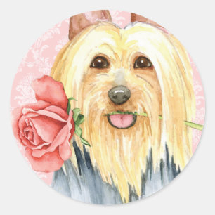 Valentine Rose Silky Terrier Klassischer Rundstick Runder Aufkleber