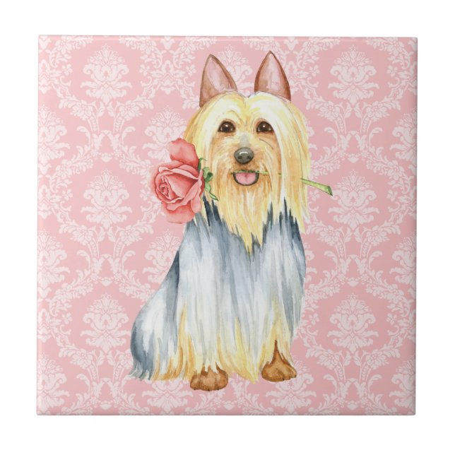Valentine Rose Silky Terrier Tile Fliese (Vorderseite)
