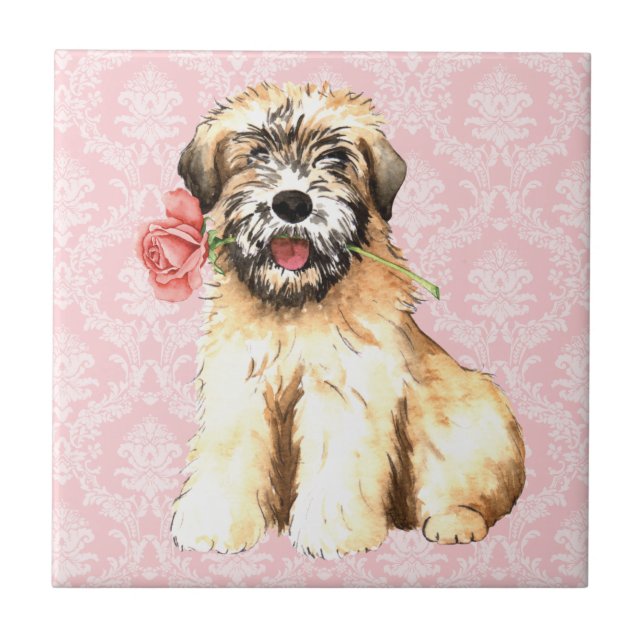 Valentine Rose Wheaten Fliese (Vorderseite)