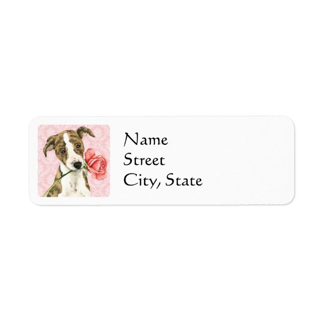 Valentine Rose Whippet (Vorne)
