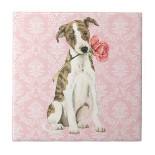 Valentine Rose Whippet Fliese