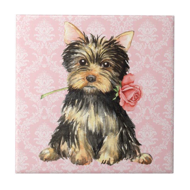 Valentine-Rose Yorkie Fliese (Vorderseite)