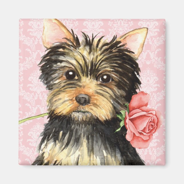 Valentine Rose Yorkie Magnet (Vorne)