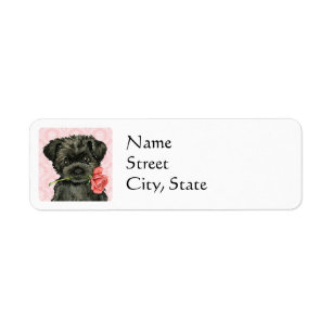 Valentine-RoseAffenpinscher