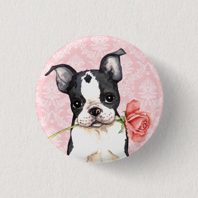 Valentine-Rosen-Boston-Terrier Button (Vorderseite)