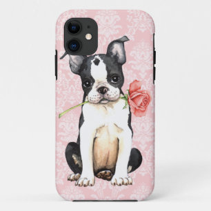 Valentine-Rosen-Boston-Terrier iPhone 11 Hülle