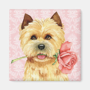 Valentine Rosen Cairn Terrier Magnet