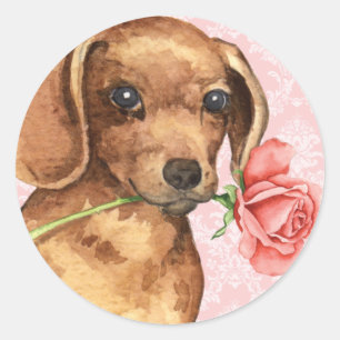 Valentine-Rosen-Dackel Runder Aufkleber