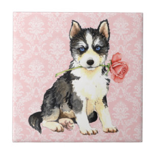 Valentine-Rosen-Schlittenhund Fliese
