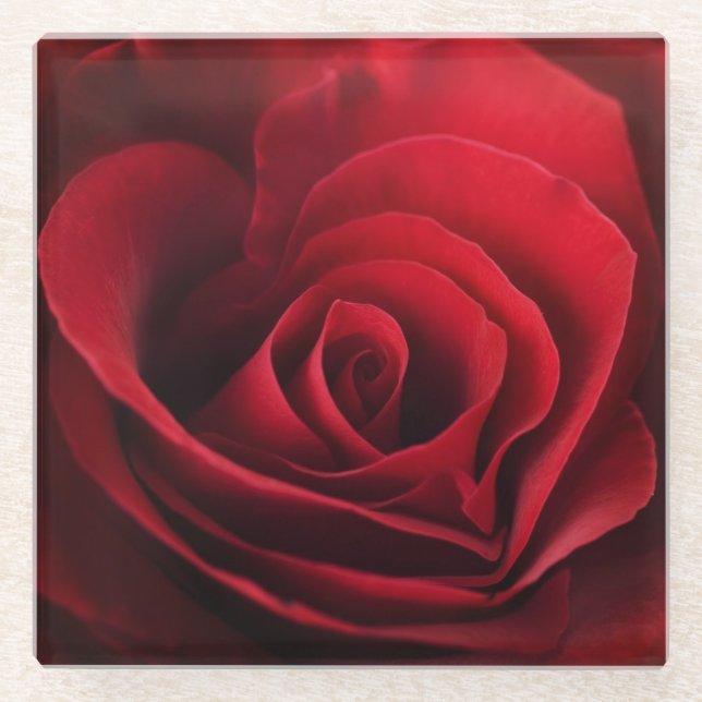 Valentine-Rote Rose Glasuntersetzer (Vorderseite)