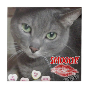Valentine Russian Blue Cat Fliese