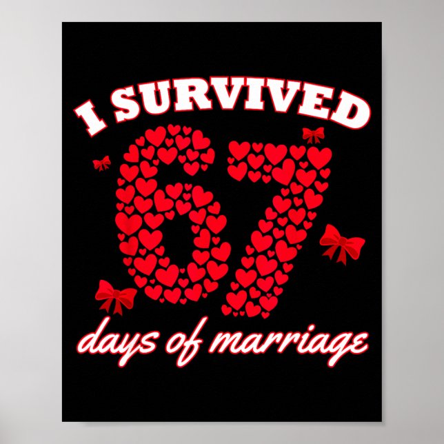 Valentine’s Day I Survived 67 Days Of Dating Funny Poster (Vorne)