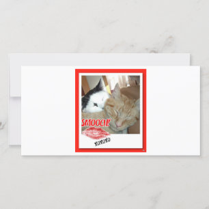 Valentine Tabby Cats Feiertagskarte
