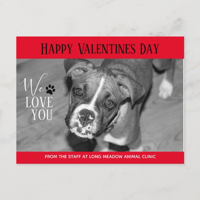 Valentine Veterinary Holiday Cards Postkarte (Vorderseite)
