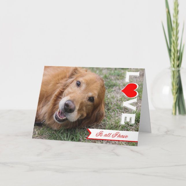 Valentinenkarte Golden Retriever Feiertagskarte (Vorderseite)