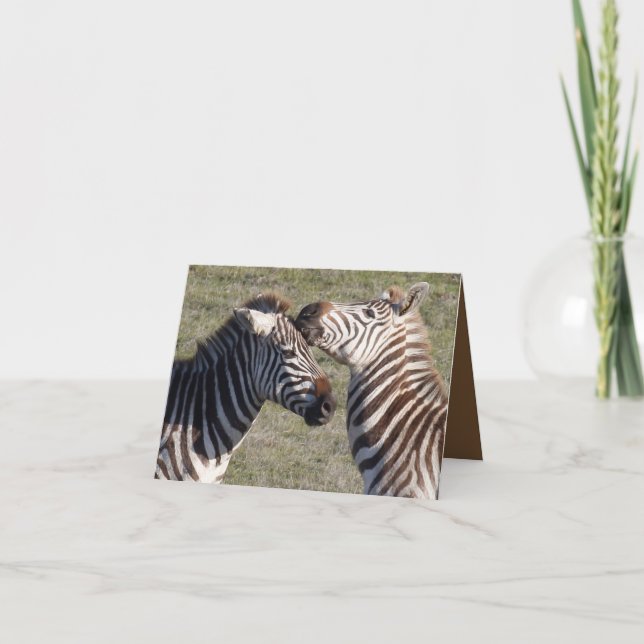 Valentinenkarte mit angeschlossenem Zebrapaar Feiertagskarte (Vorderseite)