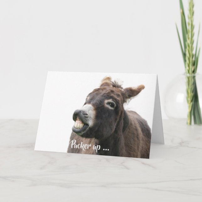 Valentinenkarte mit puckerndem Donkey Feiertagskarte (Vorderseite)