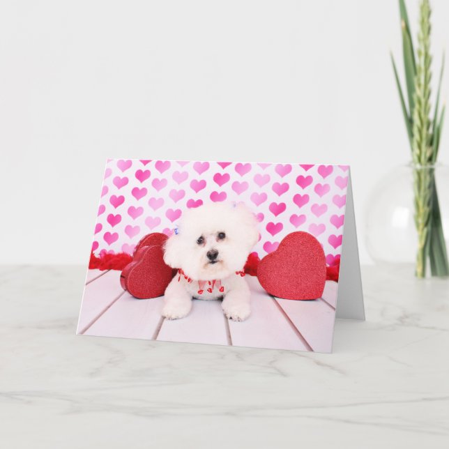 Valentines - Bichon Frise - Lilly Feiertagskarte (Vorderseite)