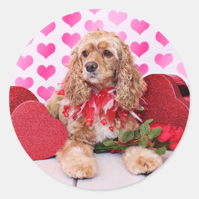 Valentines - Cocker Spaniel - Bella Runder Aufkleber (Vorderseite)