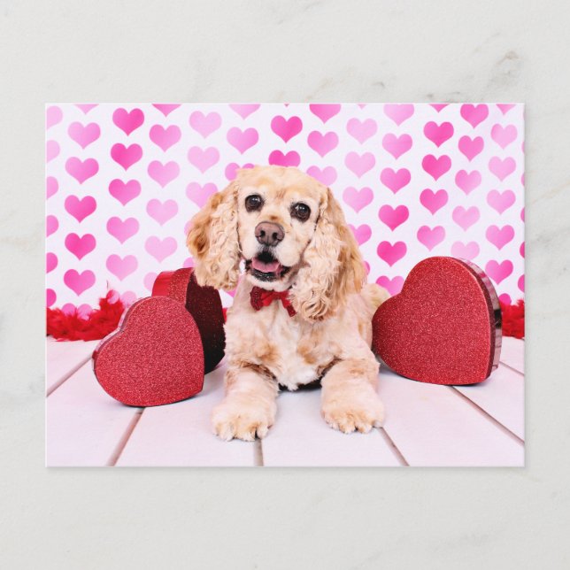Valentines - Cocker Spaniel - Duke Feiertagspostkarte (Vorderseite)
