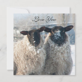 Valentine's Day Card Karte