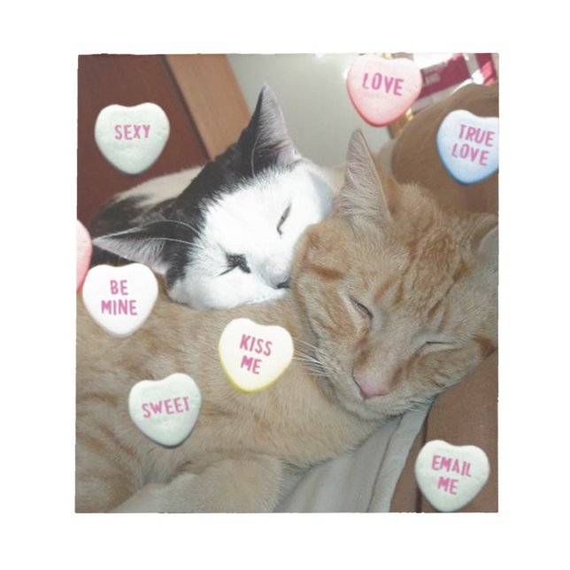 Valentine's Day Cats Notizblock (Vorderseite)