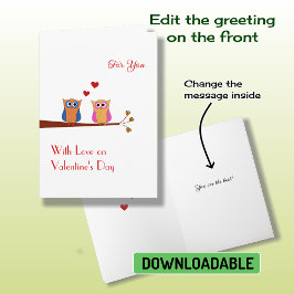 Valentine's Day deux chouettes chouettes Carte de