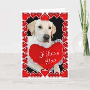 Valentine's Day Dog Card Feiertagskarte