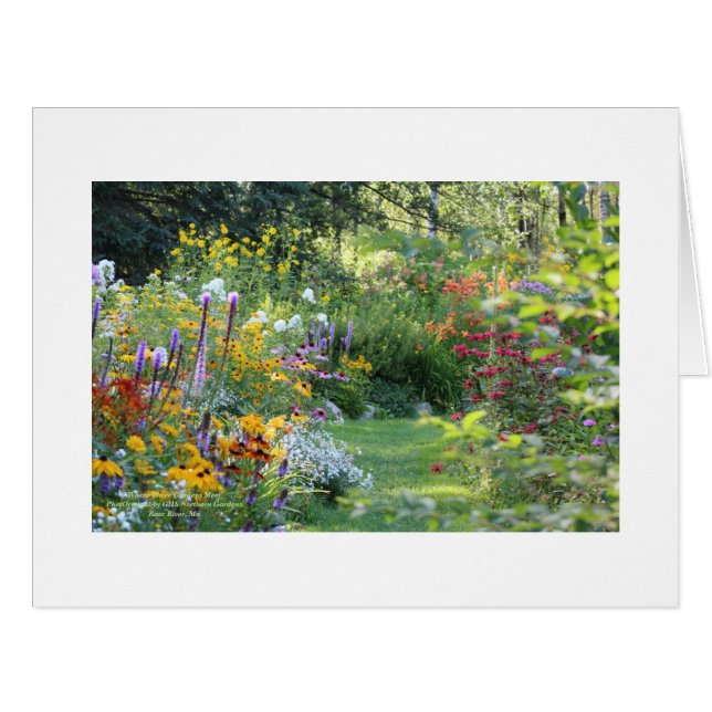 Valentines Gift Certificate (Vorderseite (Horizontal))