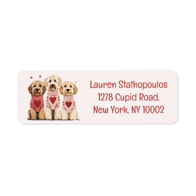 Valentines Goldendoodle Hunde (Vorne)