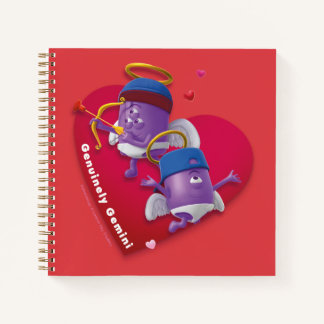 Valentine's Notebook für Gemini Notizbuch