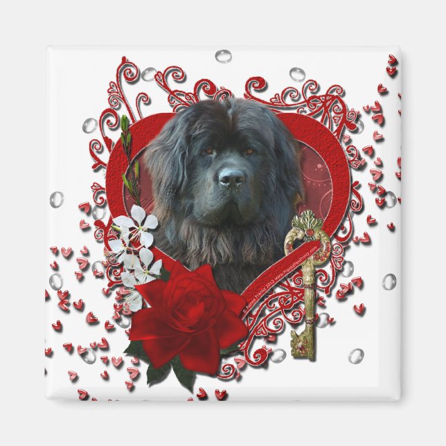 Valentines - Schlüssel zu meinem Herzen - Neufundl Magnet (Vorne)