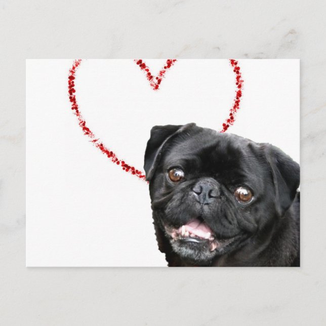Valentinischer Mops Feiertagspostkarte (Vorderseite)